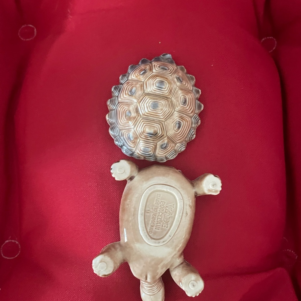 Small turtle - Picture 3 of 4